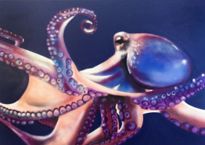 OCTOPUS