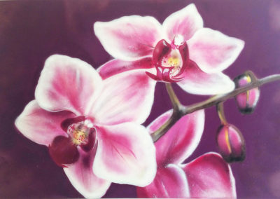 PINK ORCHIDS